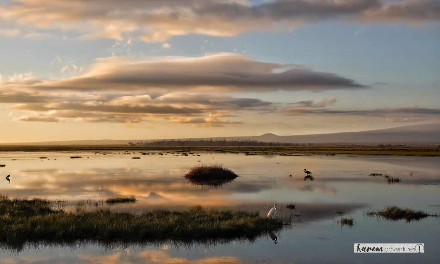 Amboseli National Park